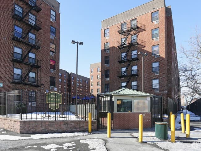 1BR apartment in Brownsville